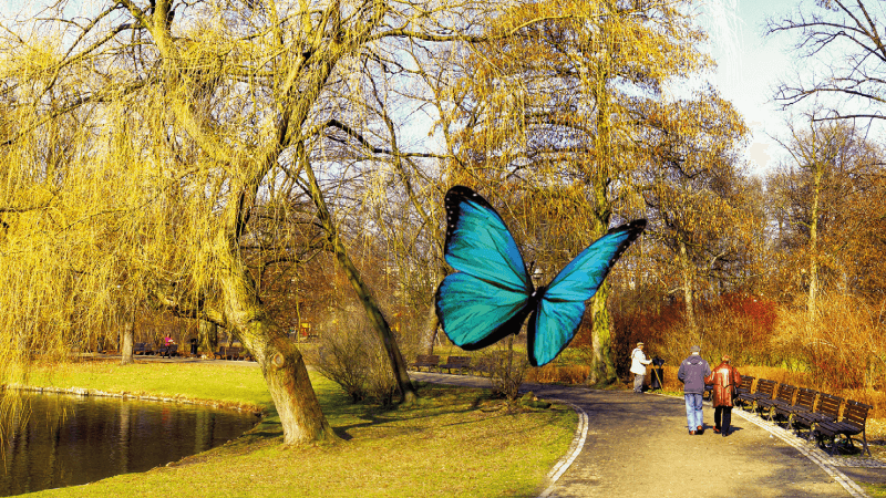 images/afbeeldingen/Website_2021/Zorgverzekering-Collectief-BGZC-CZ.png