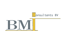 BMi Consultants