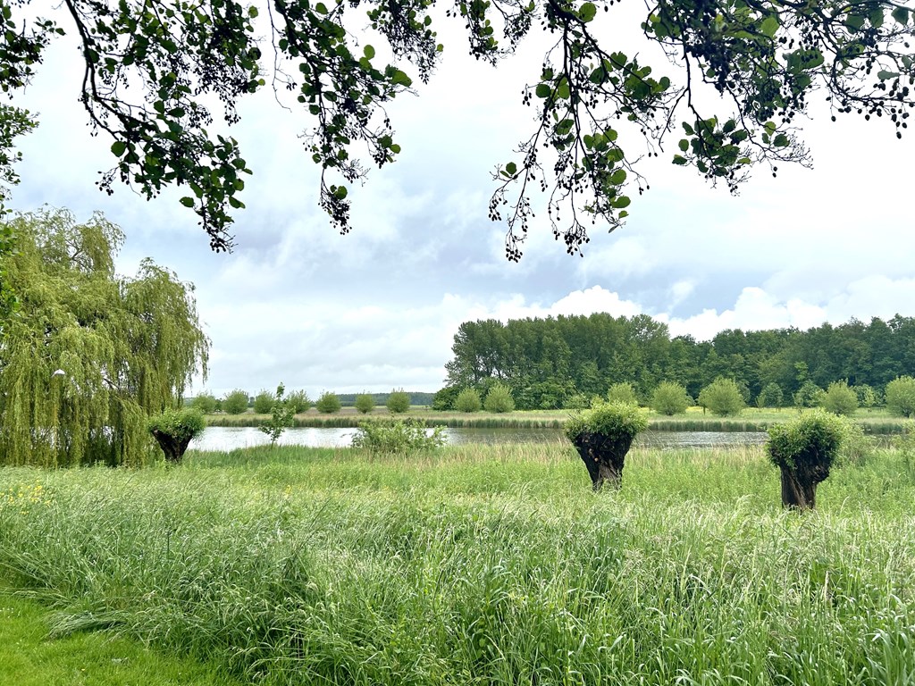 Irisstraat 32 in Hoek