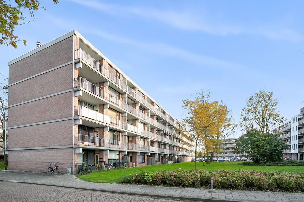 Witte de Withstraat 81 in Terneuzen