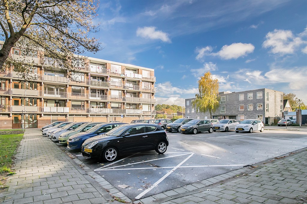 Witte de Withstraat 81 in Terneuzen