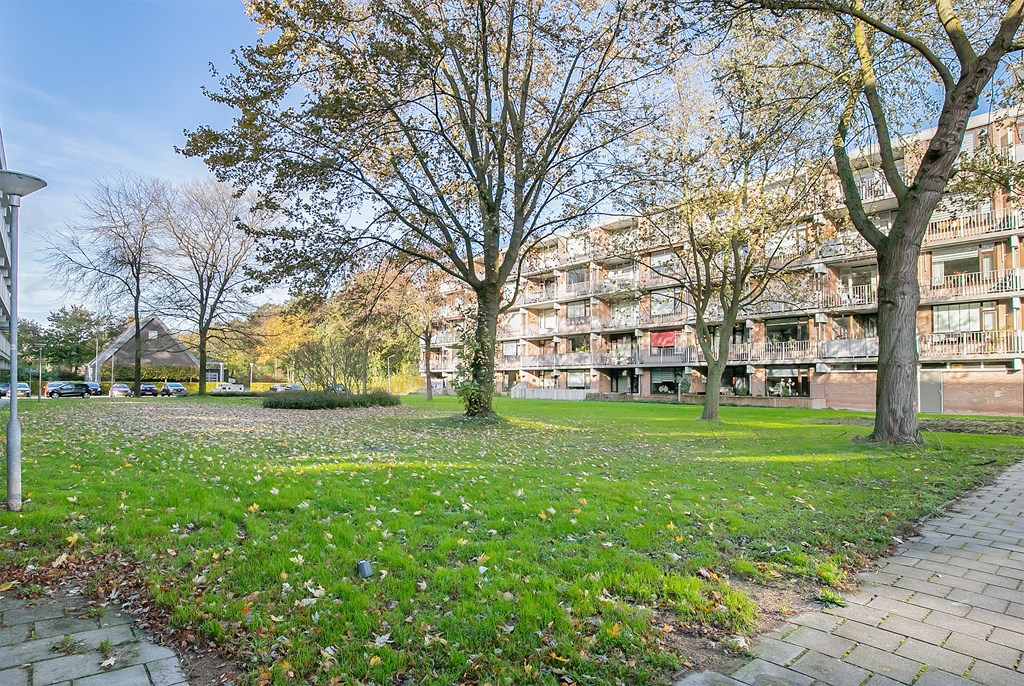 Witte de Withstraat 81 in Terneuzen