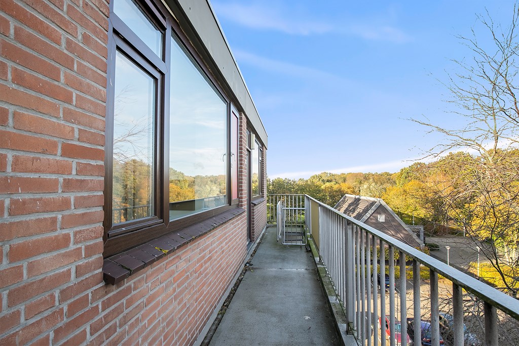 Witte de Withstraat 81 in Terneuzen