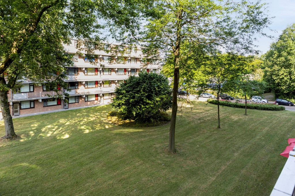 Witte De Withstraat 35 in Terneuzen