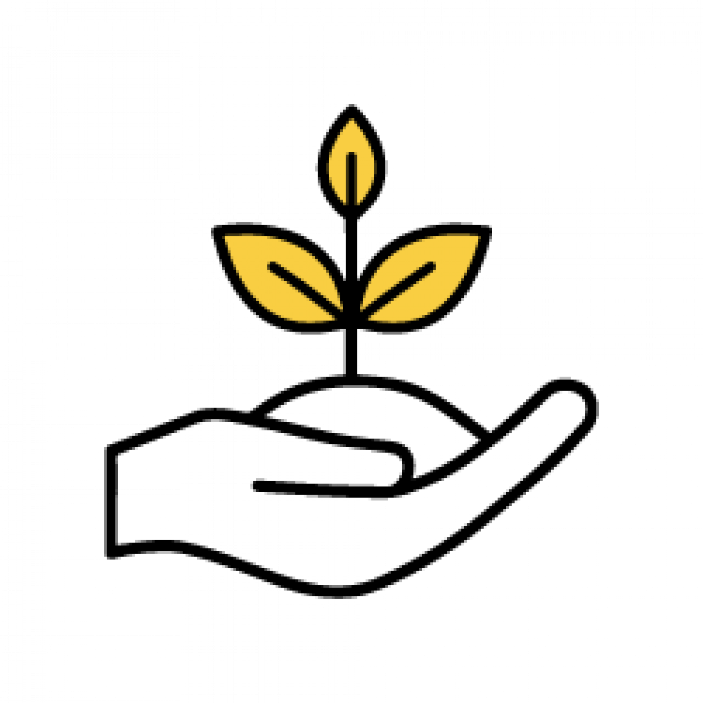 Milieu